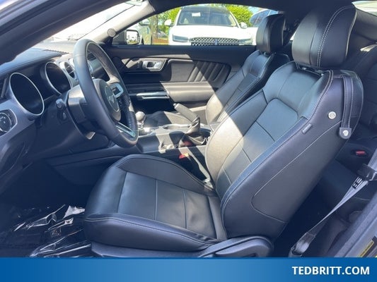 2022 Ford Mustang GT Premium in Fairfax, VA - Ted Britt Automotive Group