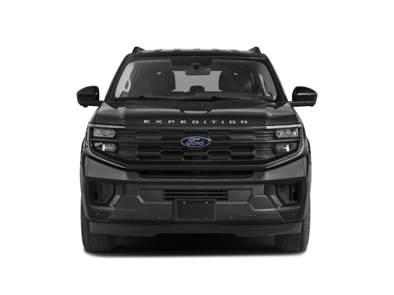 2025 Ford Expedition MAX photo 4