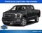 2022 Ford F-150 Platinum | 360 Camera | Bluecruise Equip | Pano Moonroof |
