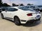 2024 Ford Mustang GT Premium | California Special | LOW MILES | Automatic