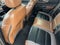 2025 Ford Bronco Sport Outer Banks | Moonroof | Clean One Owner Carfax