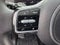 2025 Kia Carnival SX | Dark Edition | Dual Sunroofs