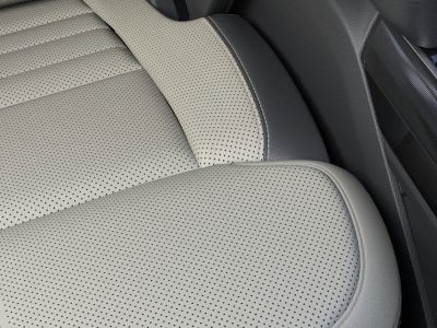 2025 Ford F-150 Lightning Platinum®