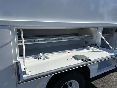 2025 Ford E-350SD Base Cutaway