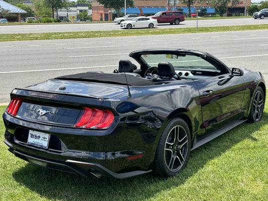 2022 Ford Mustang EcoBoost Premium in Fairfax, VA - Ted Britt Automotive Group